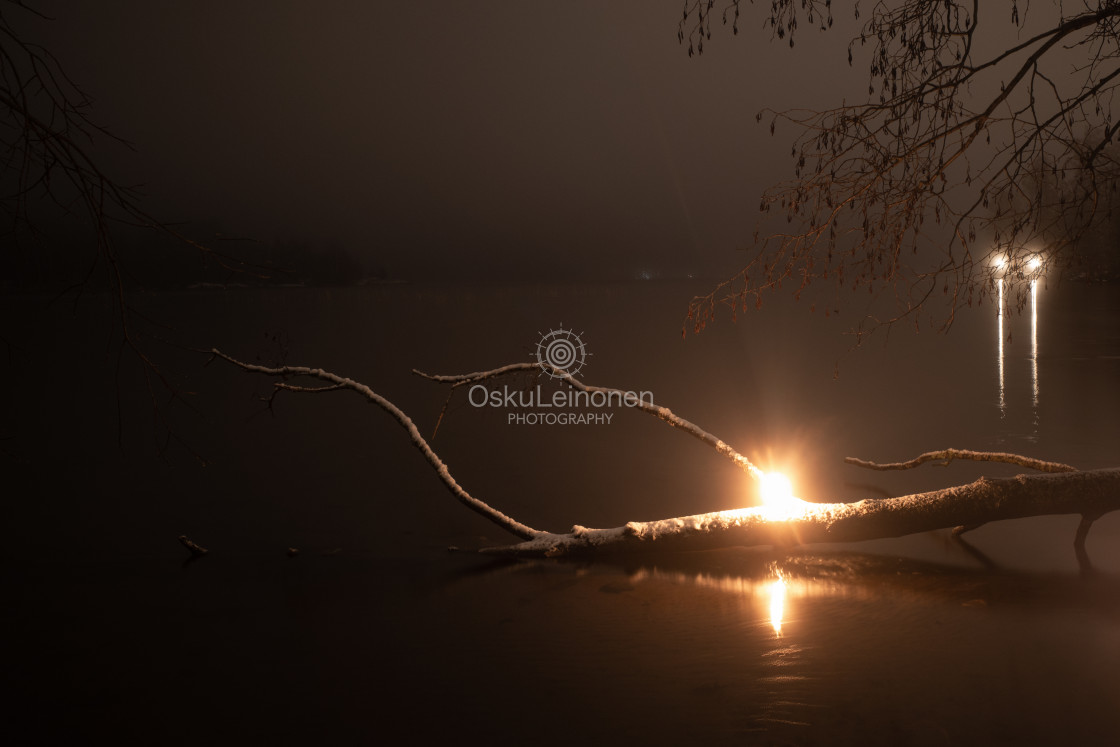 "Fire Element V (Fallen Tree)" stock image