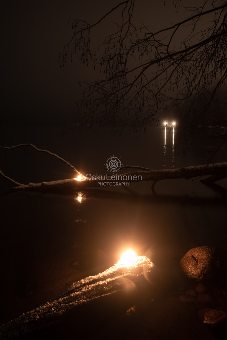 "Fire Element VIII (Fallen Tree)" stock image