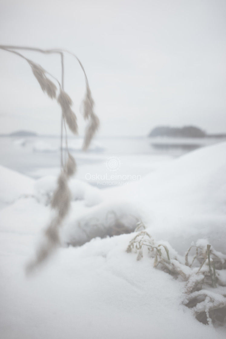 "Snowy Lake View II (Haystack)" stock image