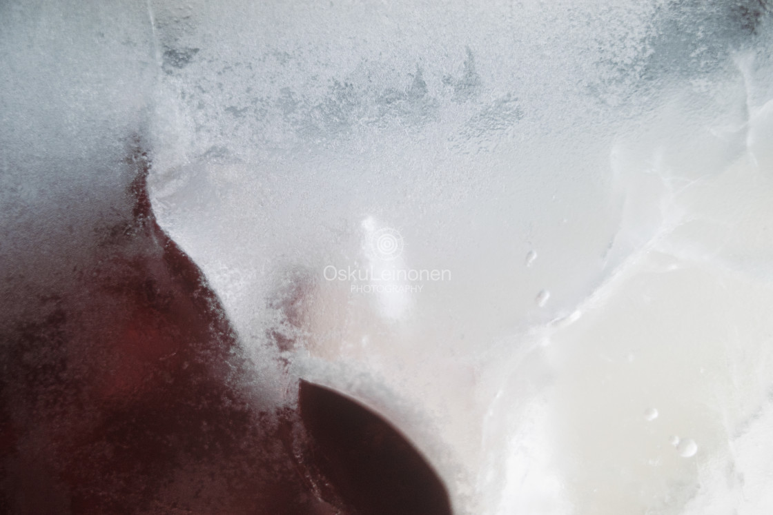 "Within Ice IV (Red Petal)" stock image