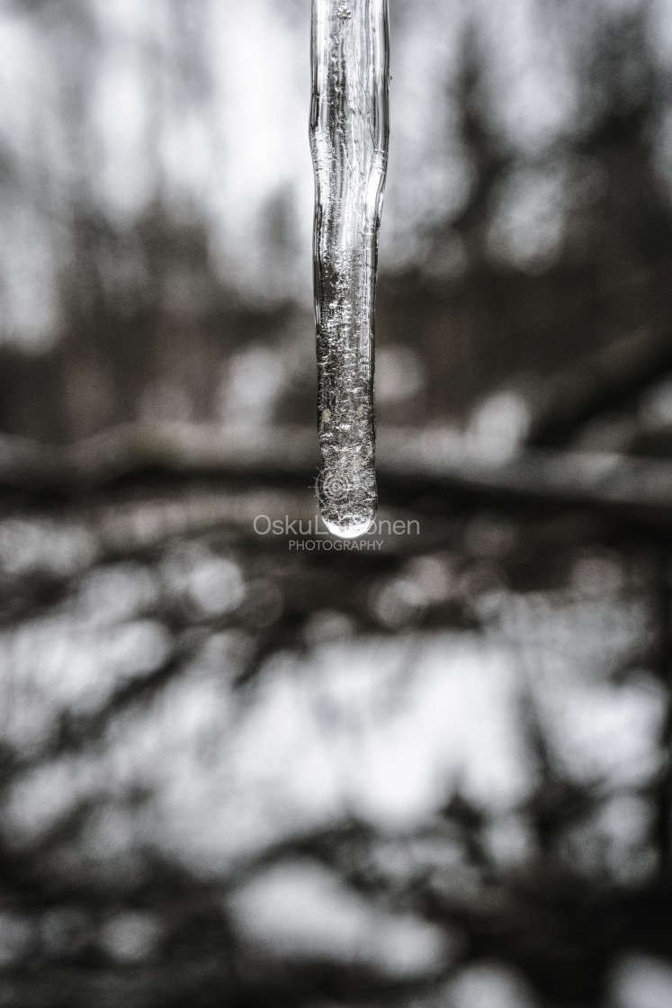 "Icicle VI (Just Ice)" stock image