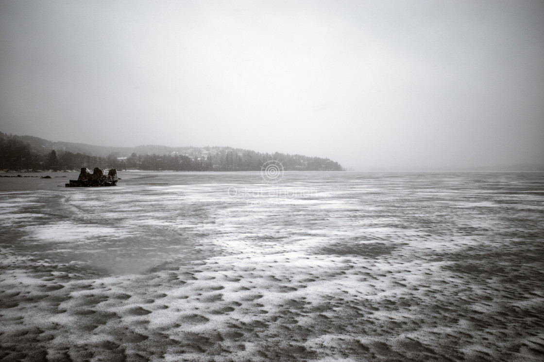 "The Ice Leaves V (Wide Open)" stock image