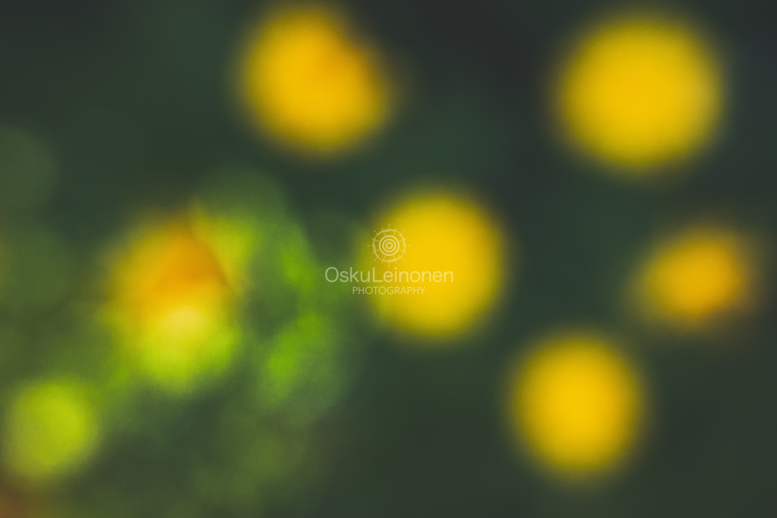 "Abstract Flowers XXII (Yellow Pebbles)" stock image