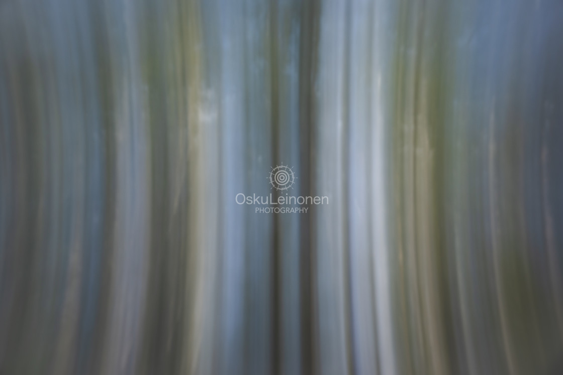 "Trees On The Shore I (Strictly Vertical)" stock image