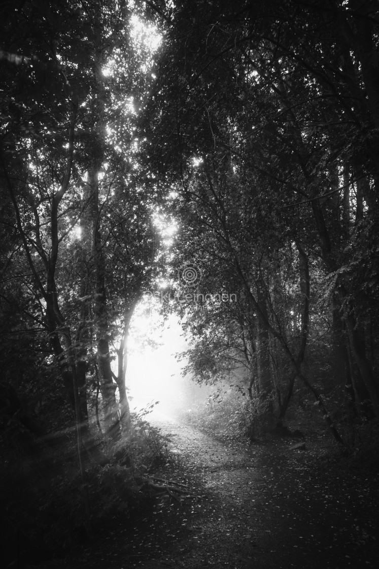 "Walk Through Rain V (Joy)" by Osku Leinonen Photography - $19.01 "Walk Through Rain V (Joy)" stock image