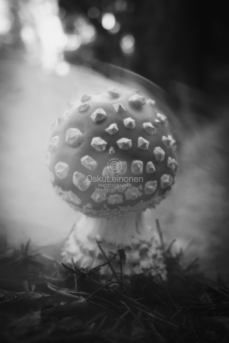 "Dematerialize VI (Fade To Day)" by Osku Leinonen Photography - $18.86 "Dematerialize VI (Fade To Day)" stock image