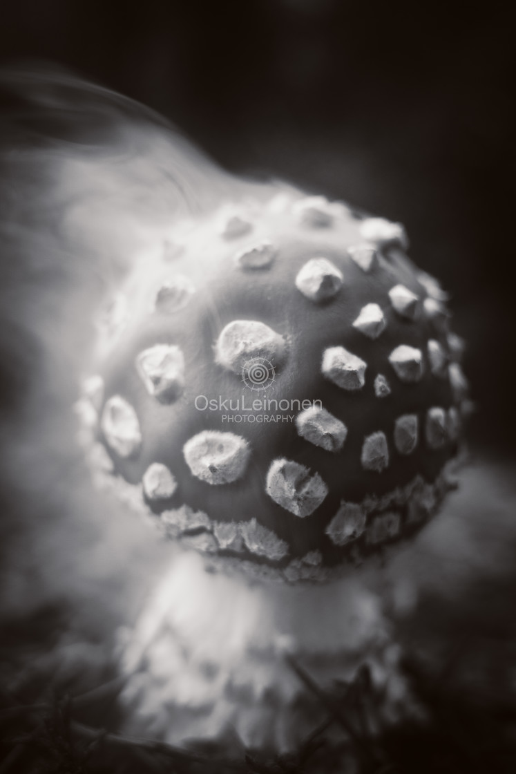 "Dematerialize VIII ( Vanish)" by Osku Leinonen Photography - $18.86 "Dematerialize VIII ( Vanish)" stock image