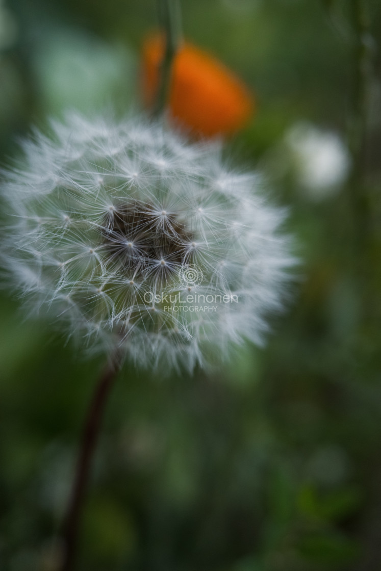 "Light And Lightness I (Stunning)" stock image