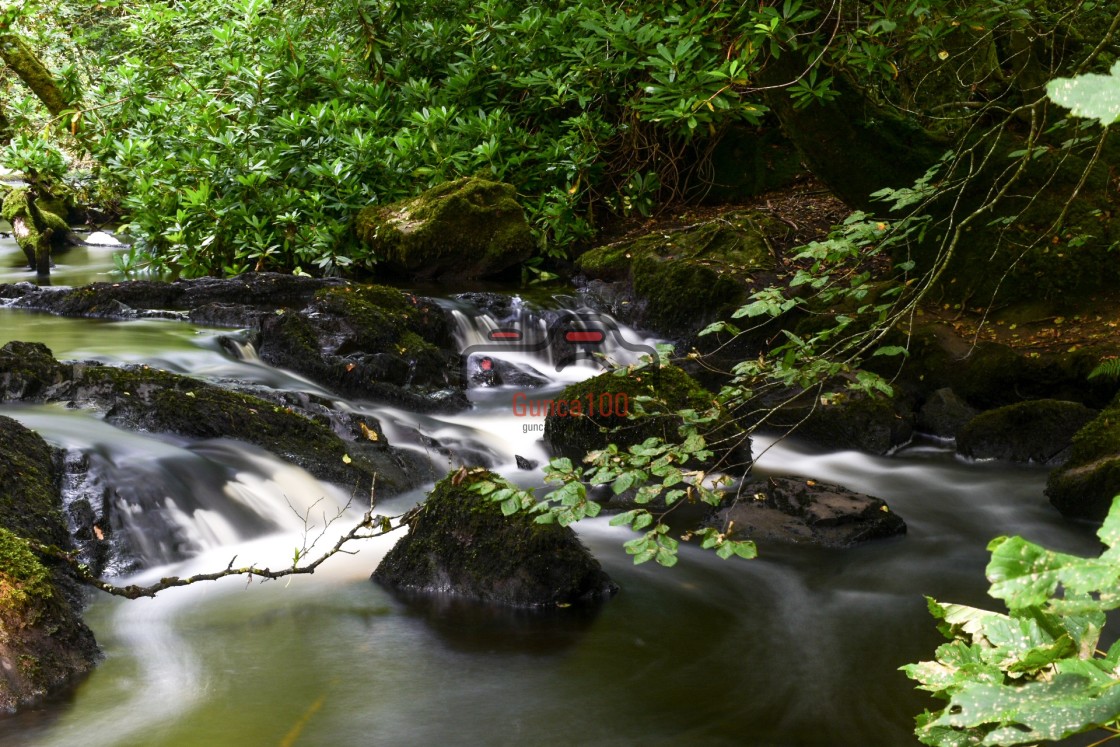 "Rapid flow Of The river between The Rocks In The forest" stock image