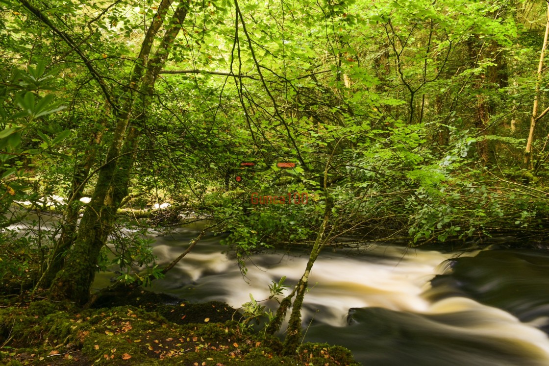 "Rapid river flow in forest. long exposure." stock image