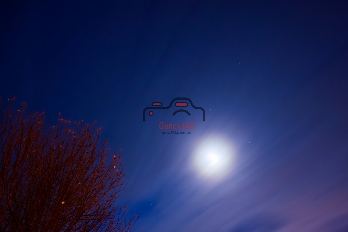 "Moon rising in the night skie" stock image