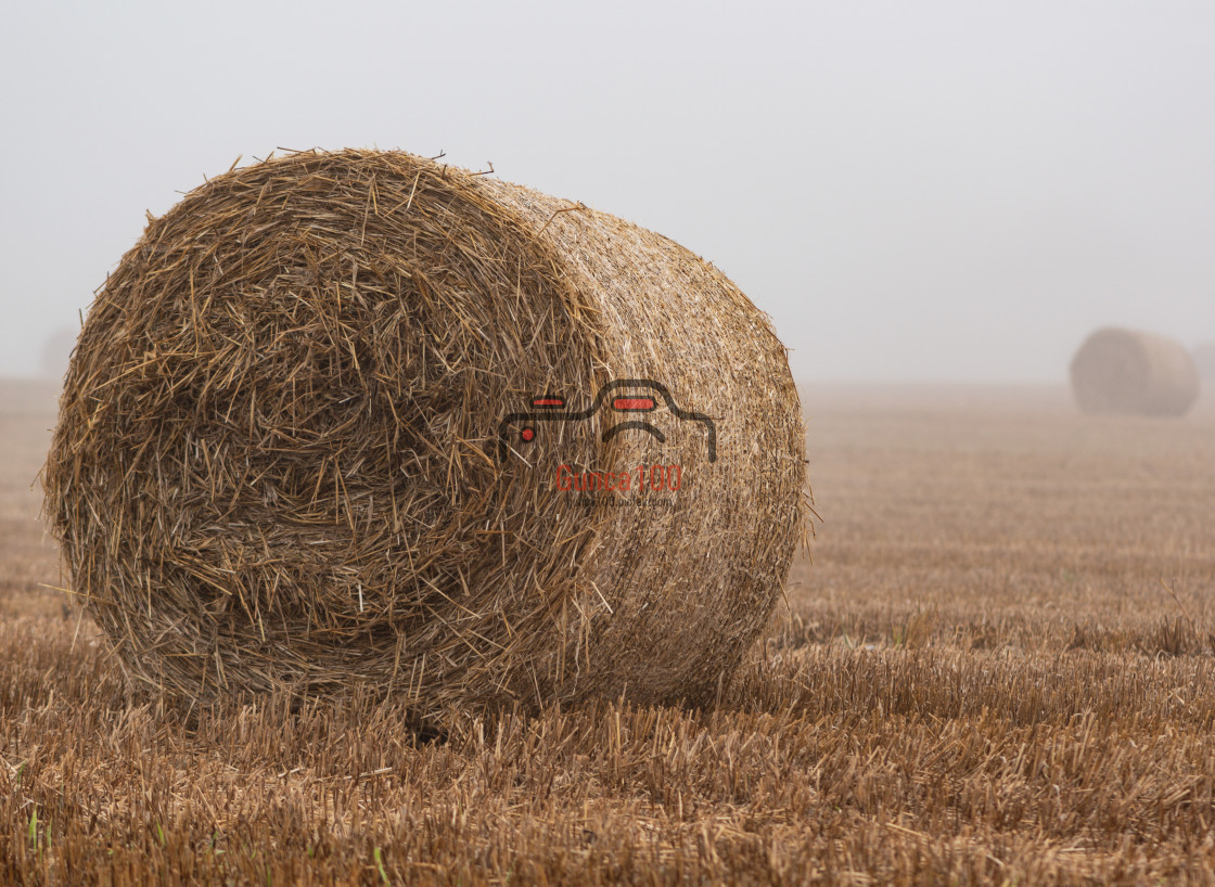 "Hay bale on a field" stock image