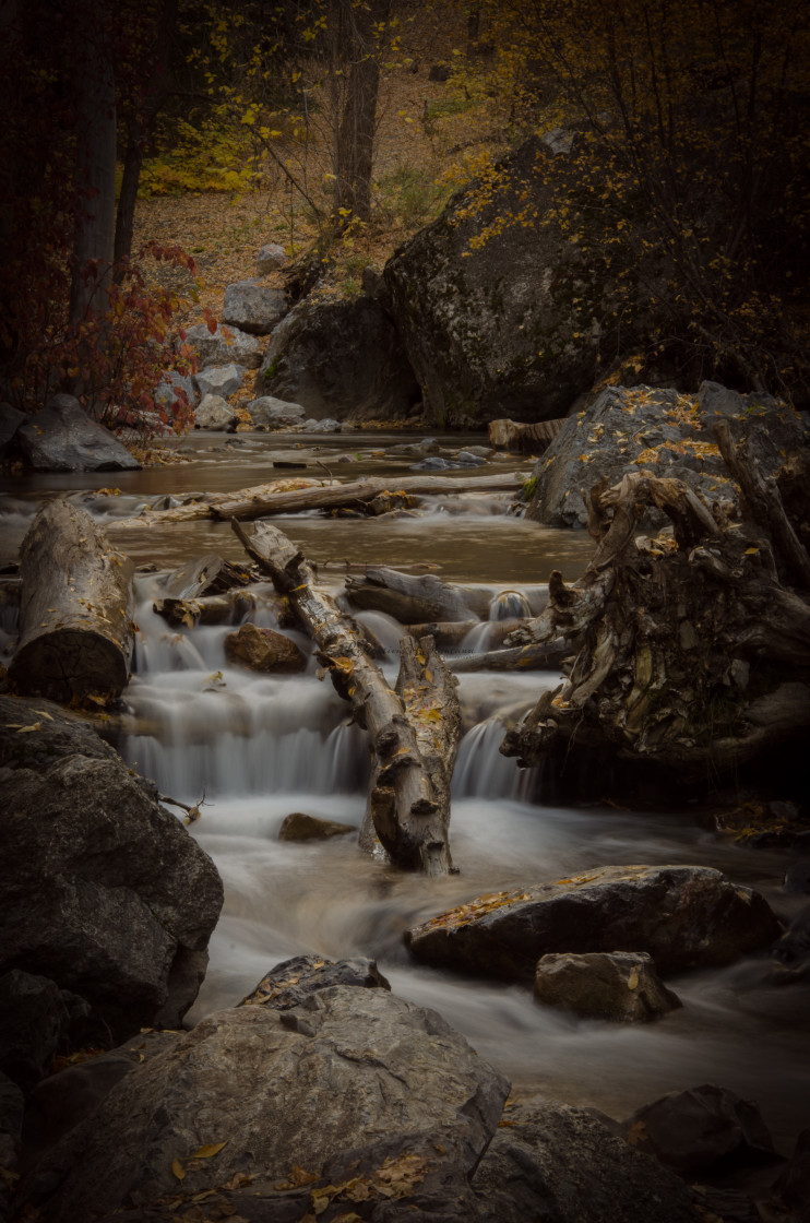 "Fall colors in Utah" stock image