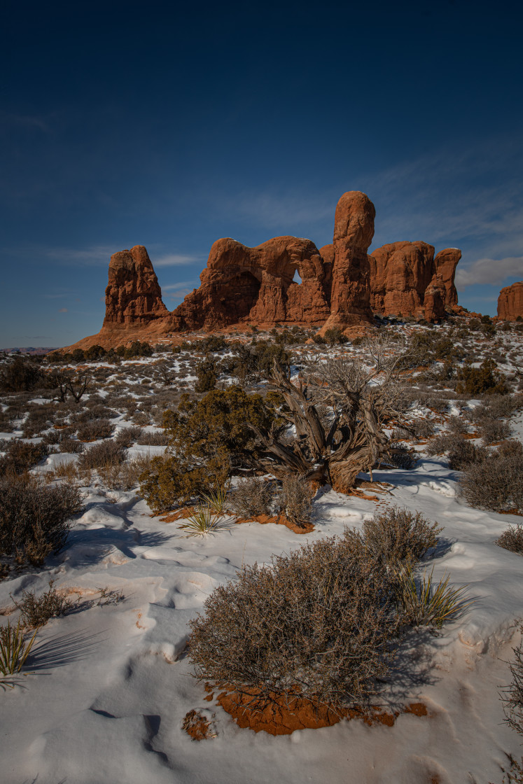 "Arches National Park in Snow" stock image