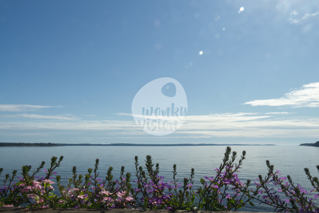 "Swedish seascape" stock image