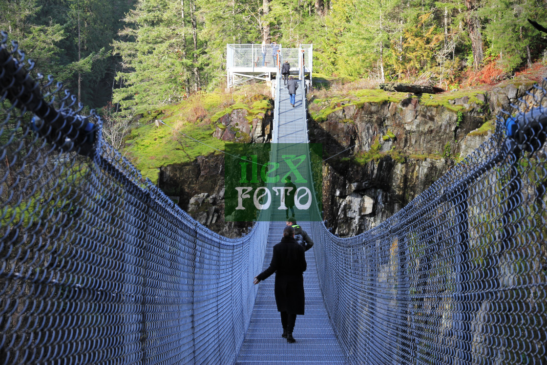 "Elk Falls suspension bridge (Canada)" stock image