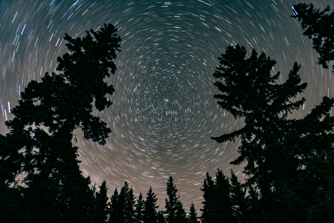 "Star Trails above the Forest" by Adam Price - $12.26 "Star Trails above the Forest" stock image