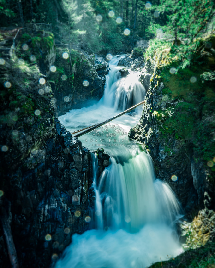 "Little Qualicum Falls" by Adam Price - $12.26 "Little Qualicum Falls" stock image
