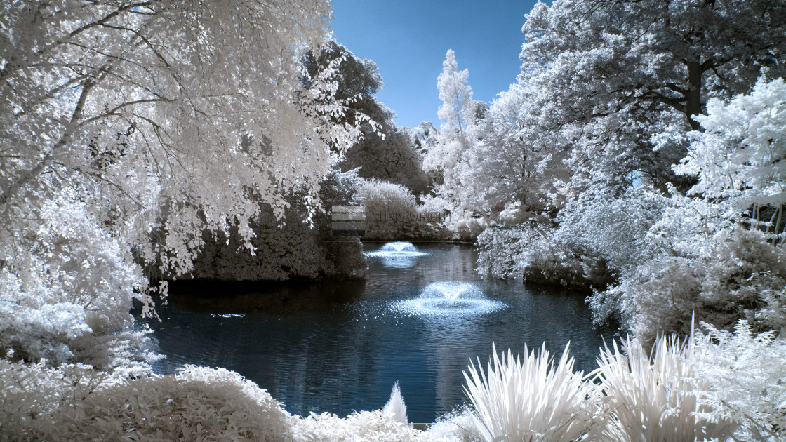 "The Dingle, Shrewsbury" by Chris Wright - £40.00 "The Dingle, Shrewsbury" stock image