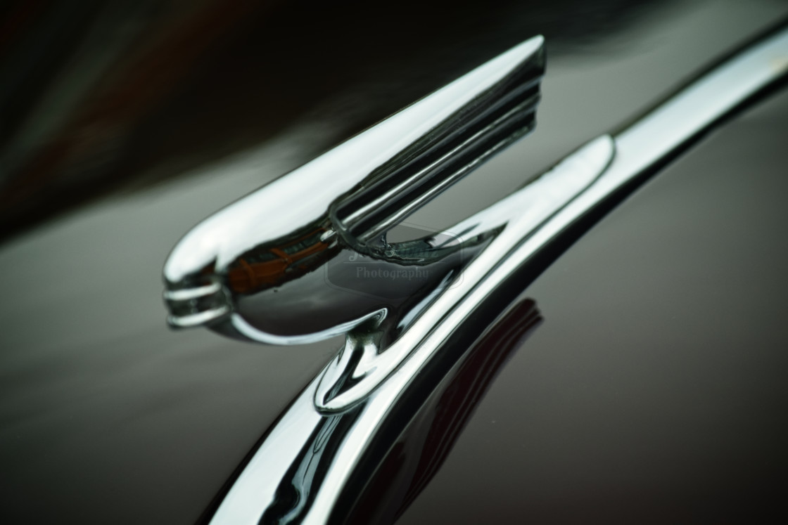 "Hood Ornament" stock image