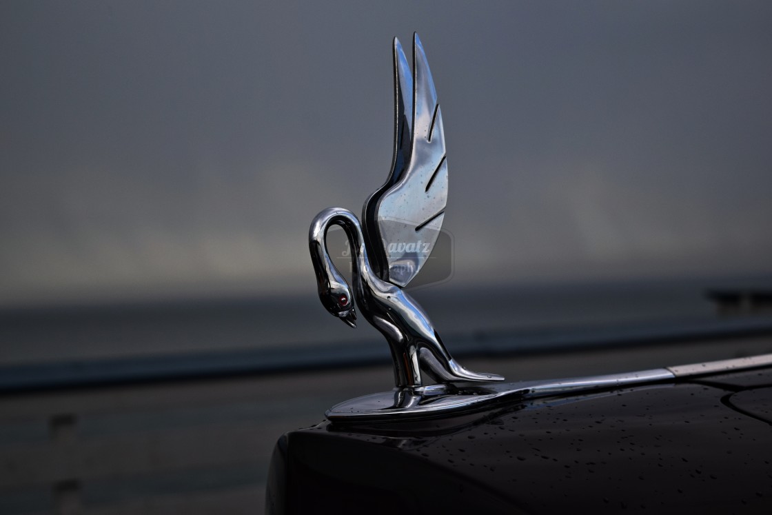 "Packard Hood Ornament" stock image