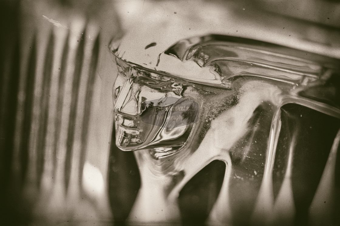 "Mercury Hood Ornament" stock image