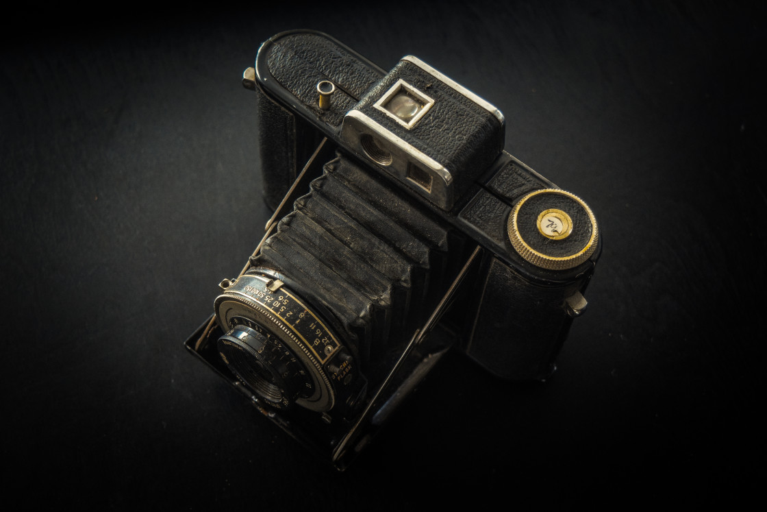 "Vintage Folding Camera" stock image
