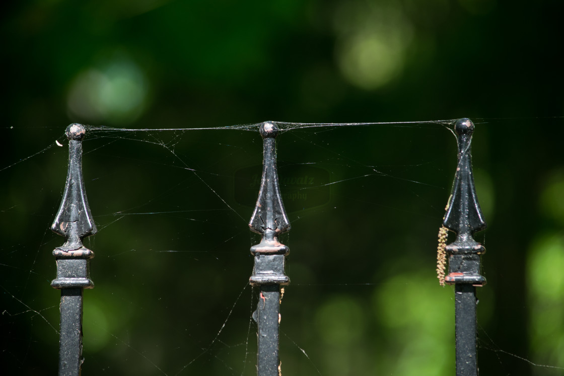 "Iron Fence Detail" stock image