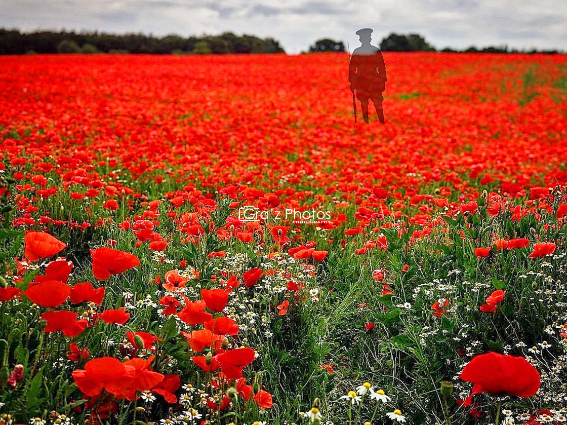 "We will remember them" stock image