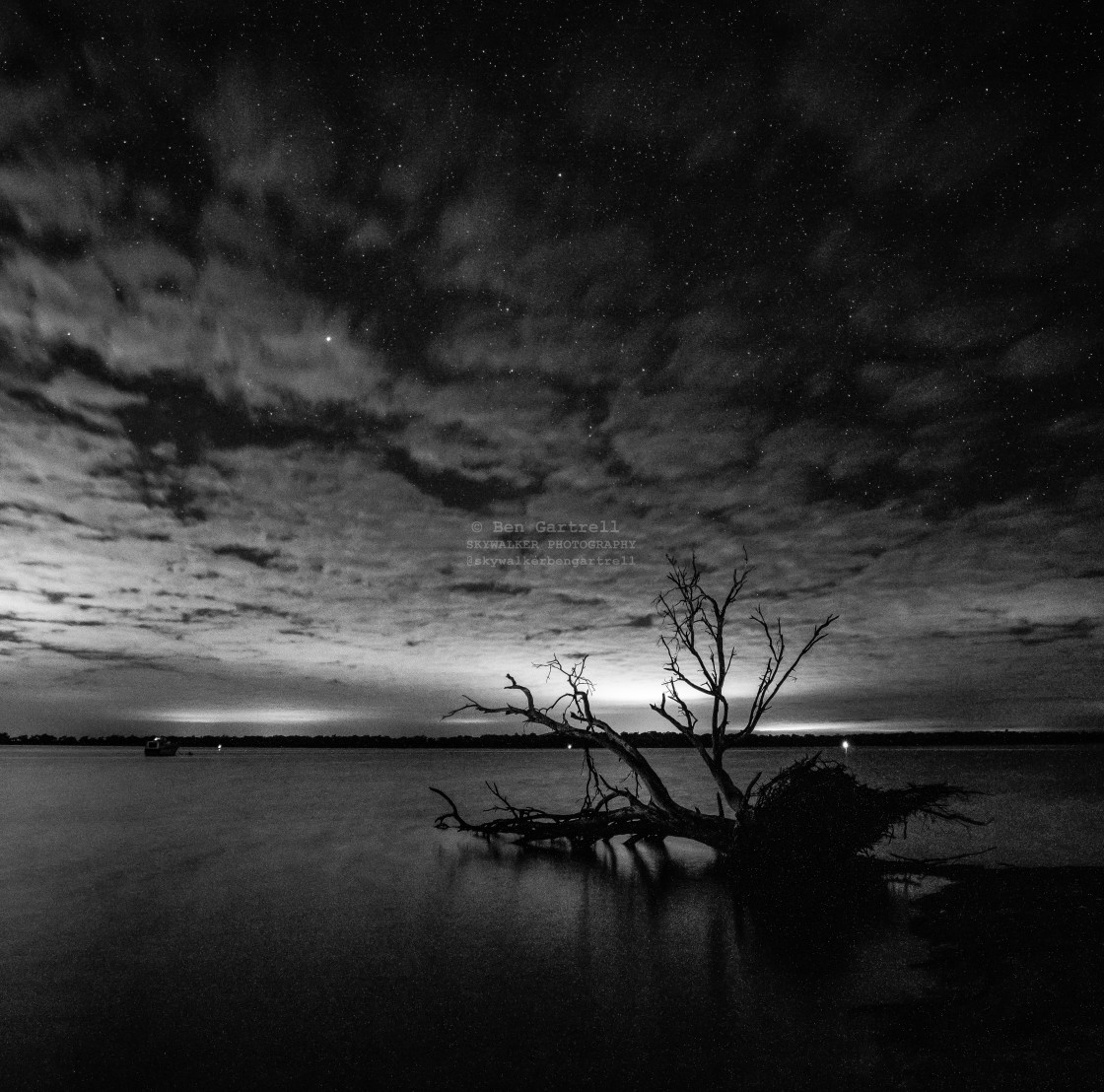 "Dead tree in Peel Inlet 2" by SKYWALKER - $1.26 "Dead tree in Peel Inlet 2" stock image