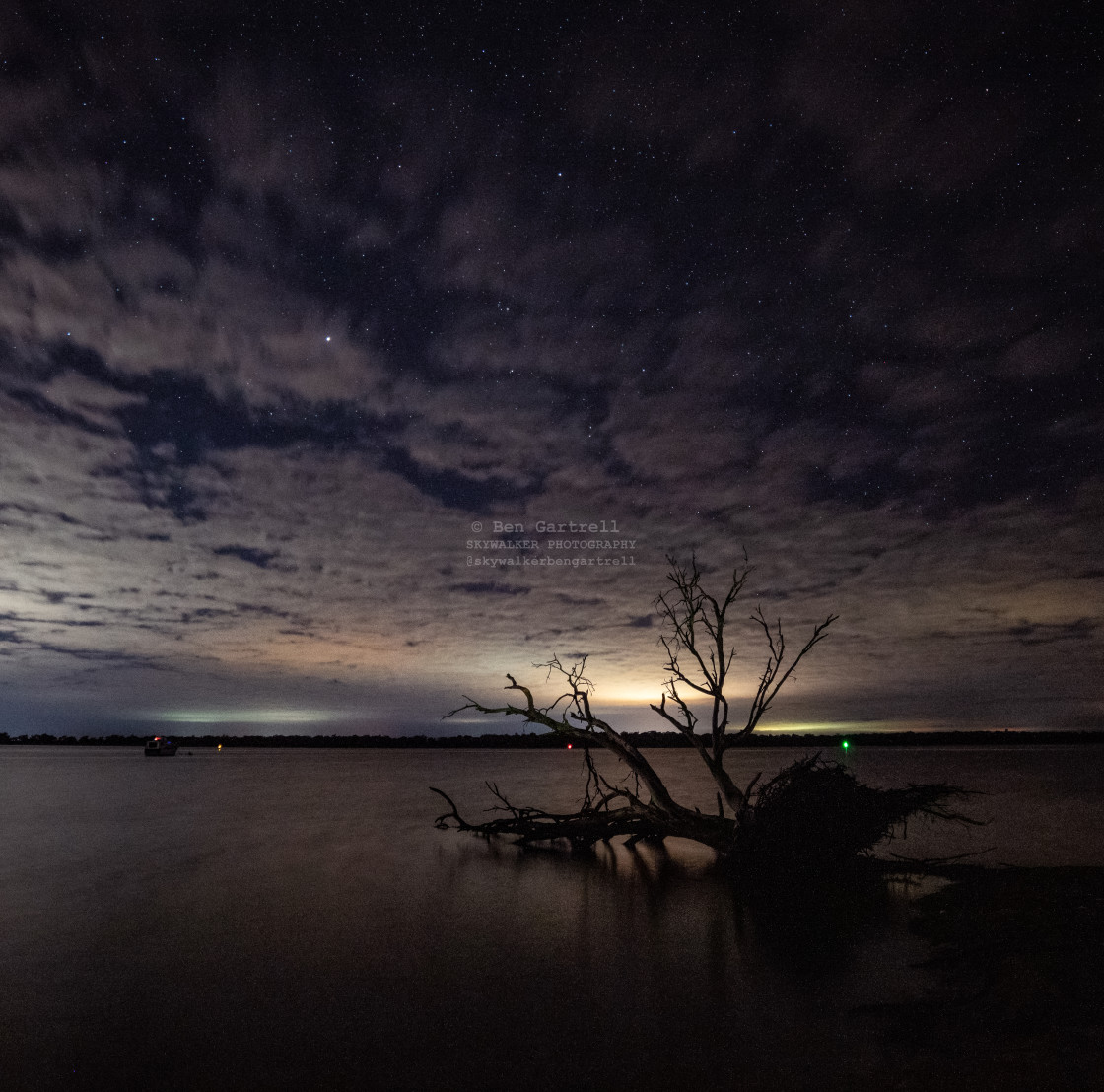 "Dead tree in Peel Inlet, Dawesville" by SKYWALKER - $1.26 "Dead tree in Peel Inlet, Dawesville" stock image