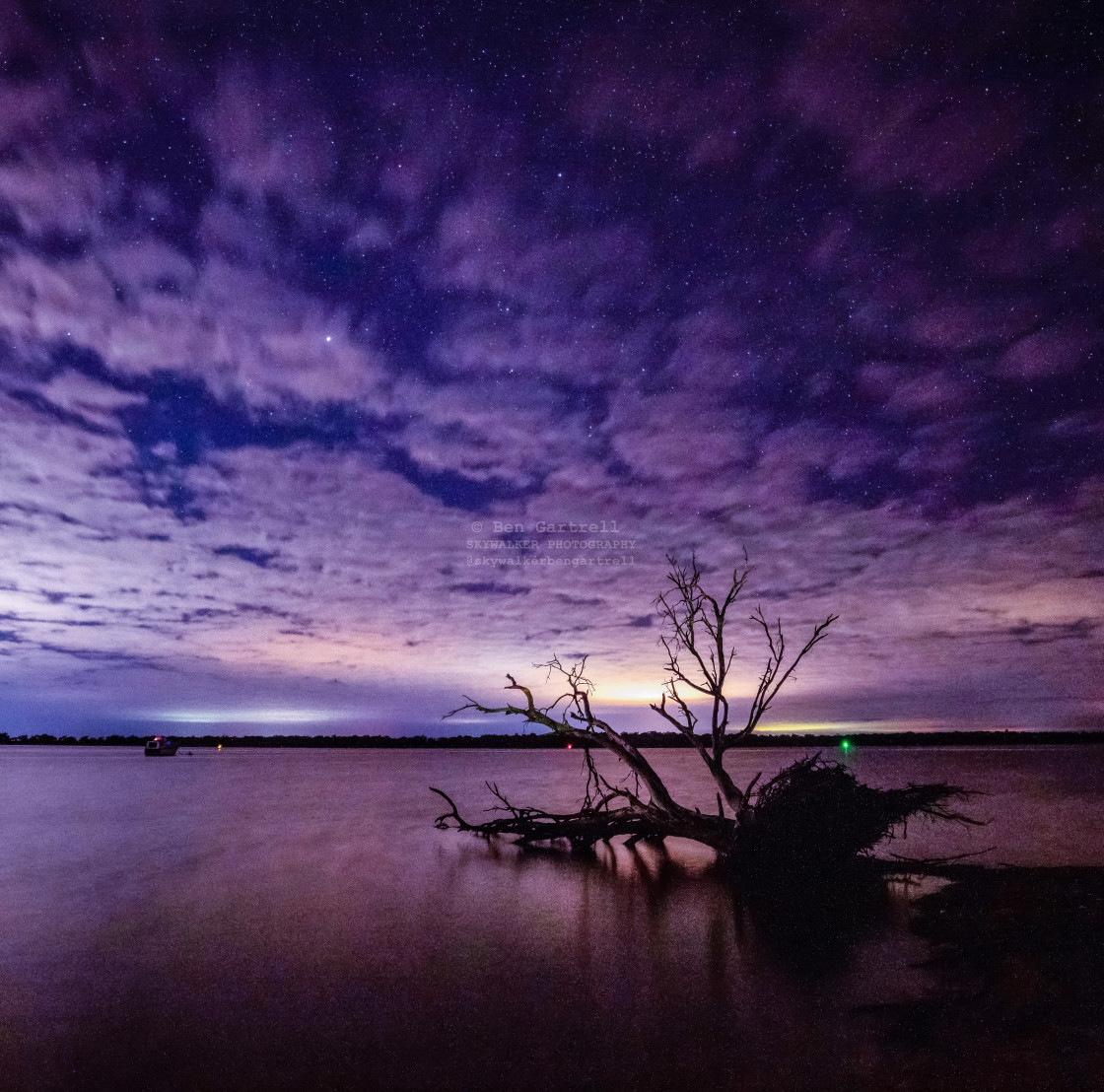 "stars and tree in river on purple cloudy night" stock image