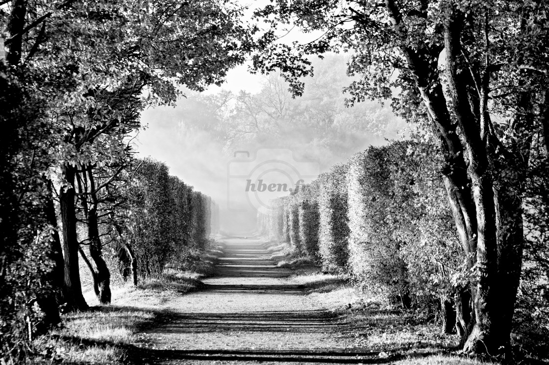 "The path" stock image