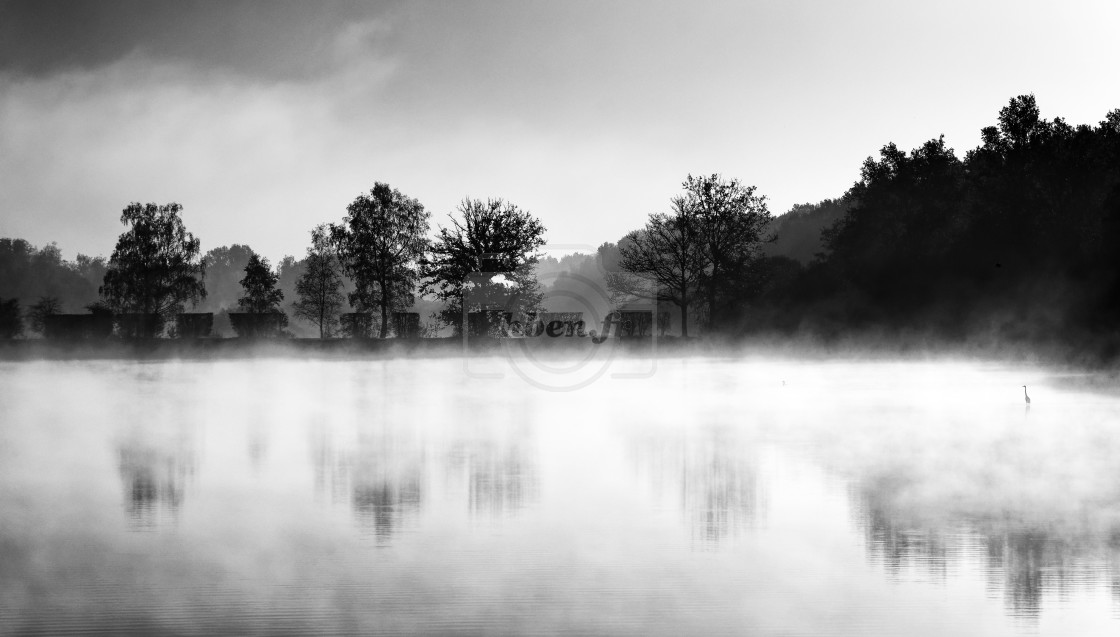 "Foggy reflection" stock image