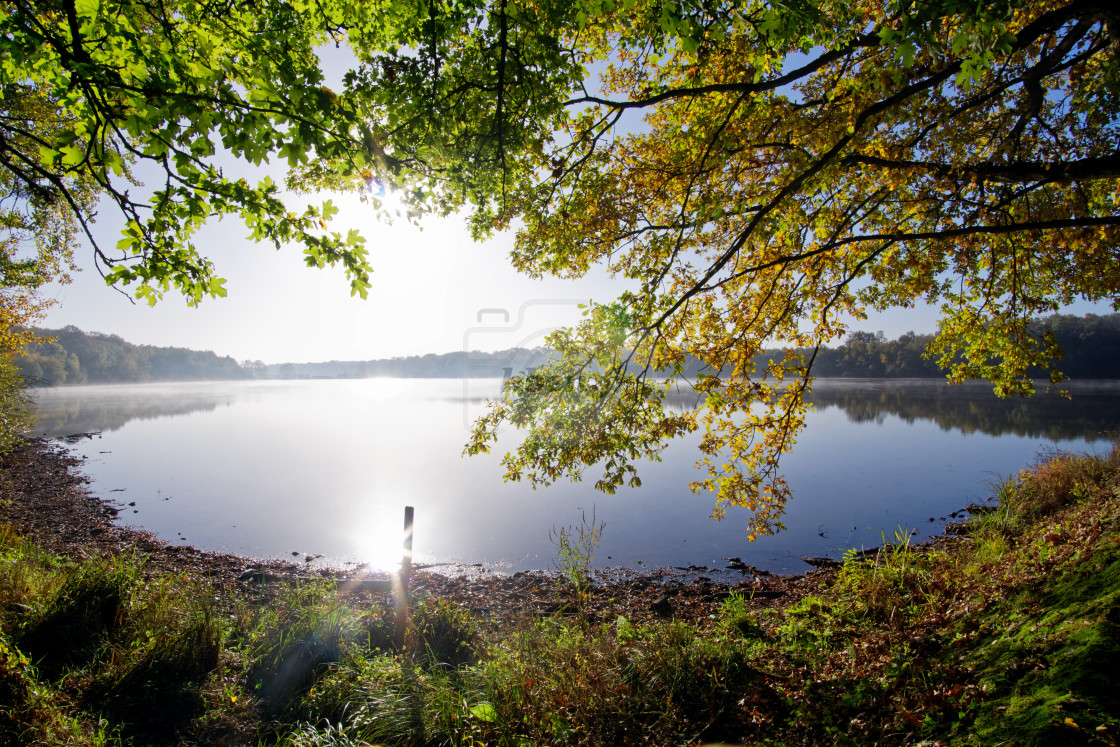 "Autumn light" stock image