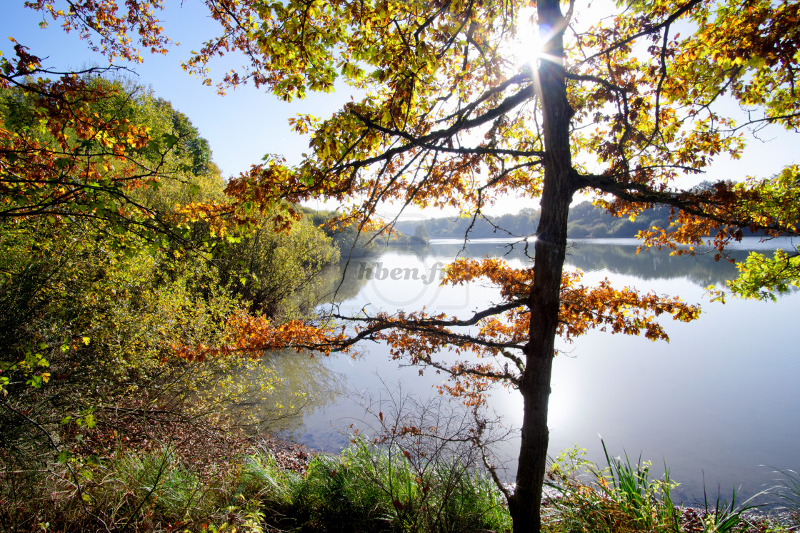 "Sunlight" stock image