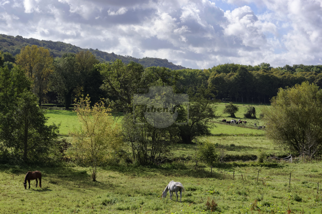 "Chevreuse valley" stock image