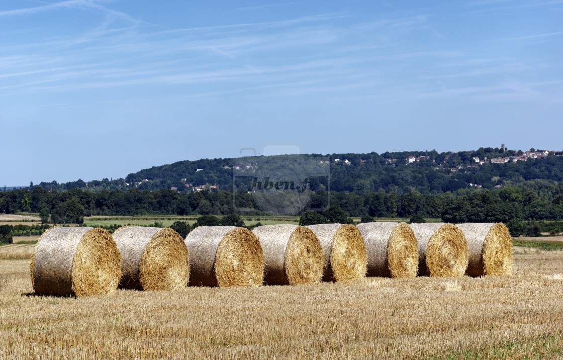 "Versailles plain" stock image