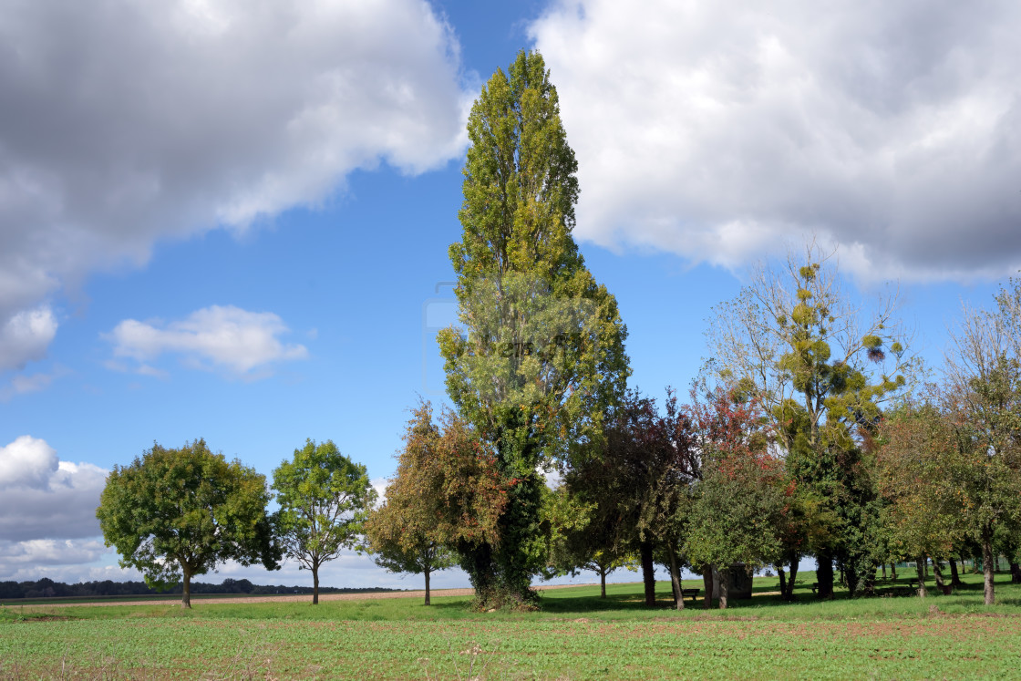 "Countryside" stock image