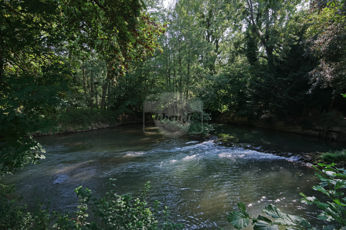 "Grand Morin river" stock image