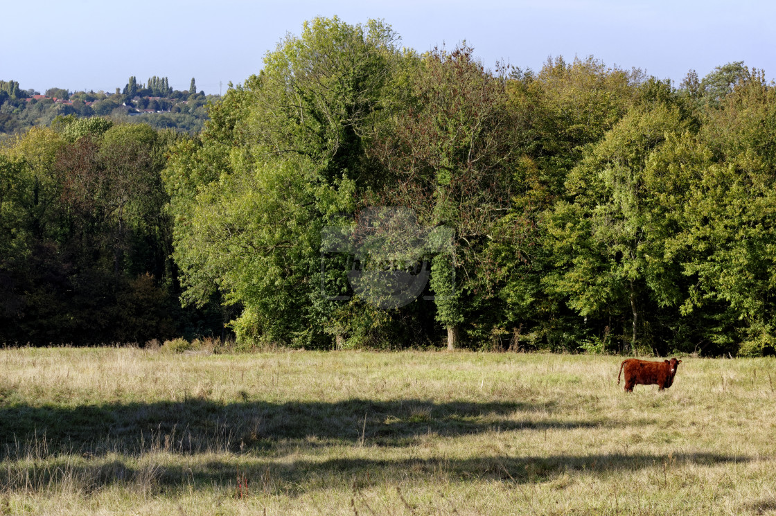 "Petit Morin valley" stock image