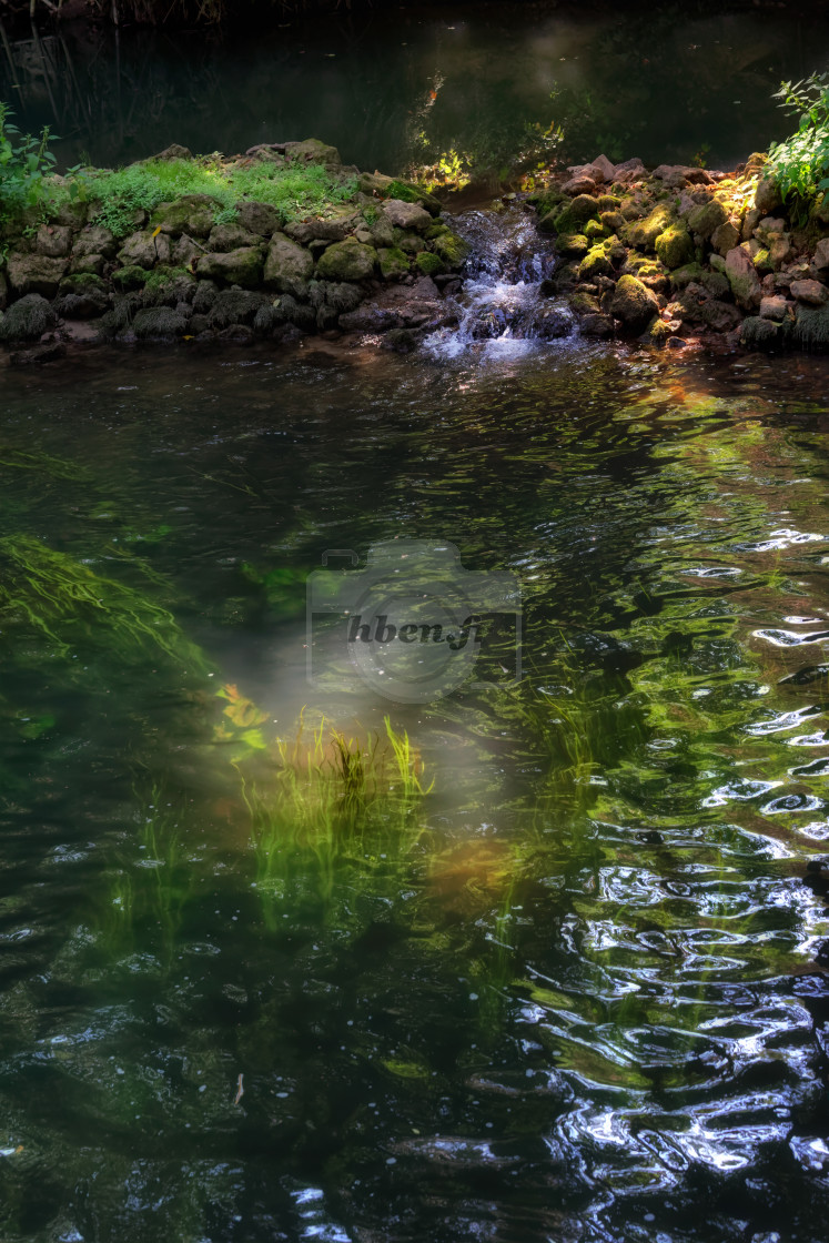 "Fairy light" stock image