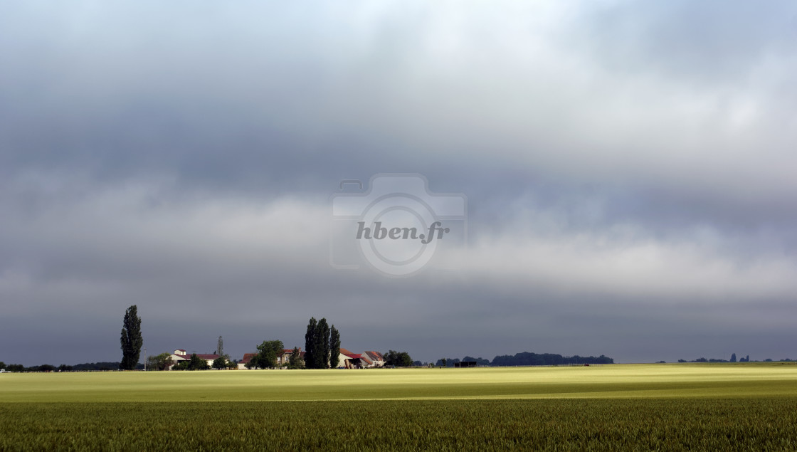 "Farming" stock image