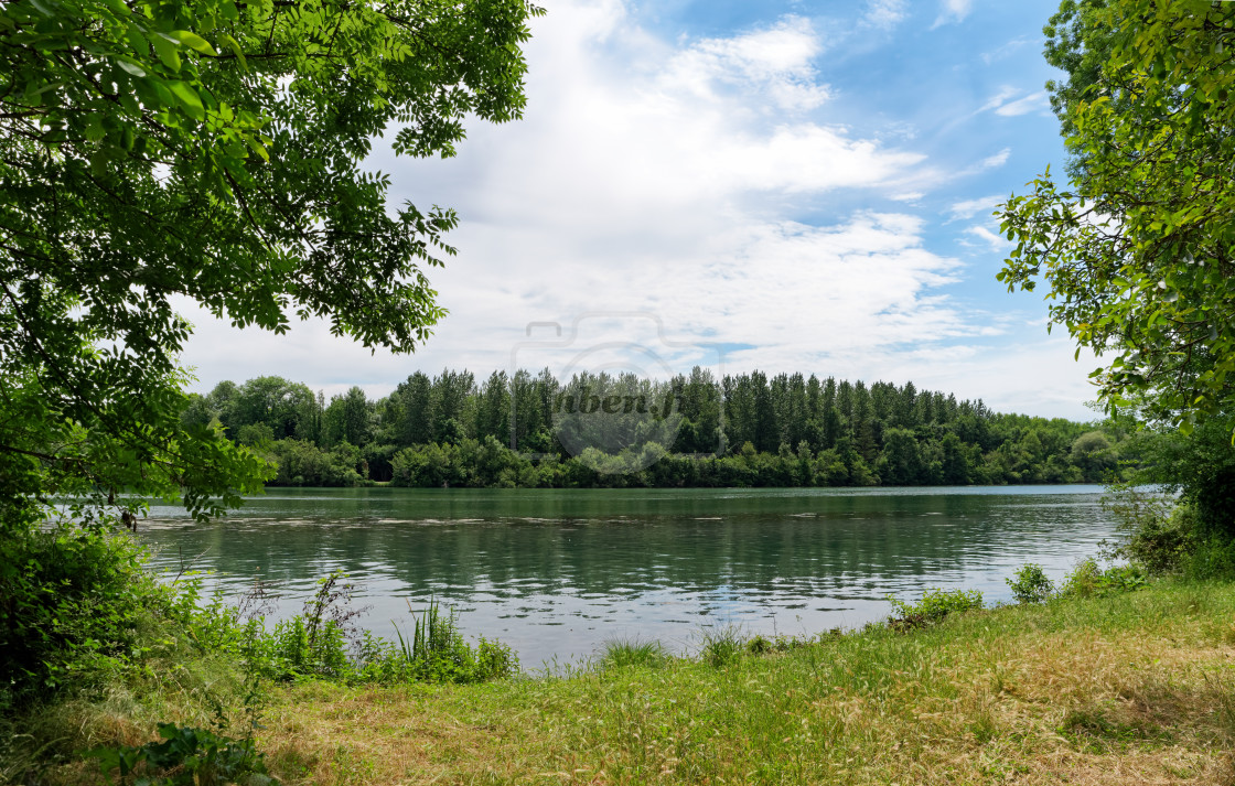 "Rougeau forest" stock image