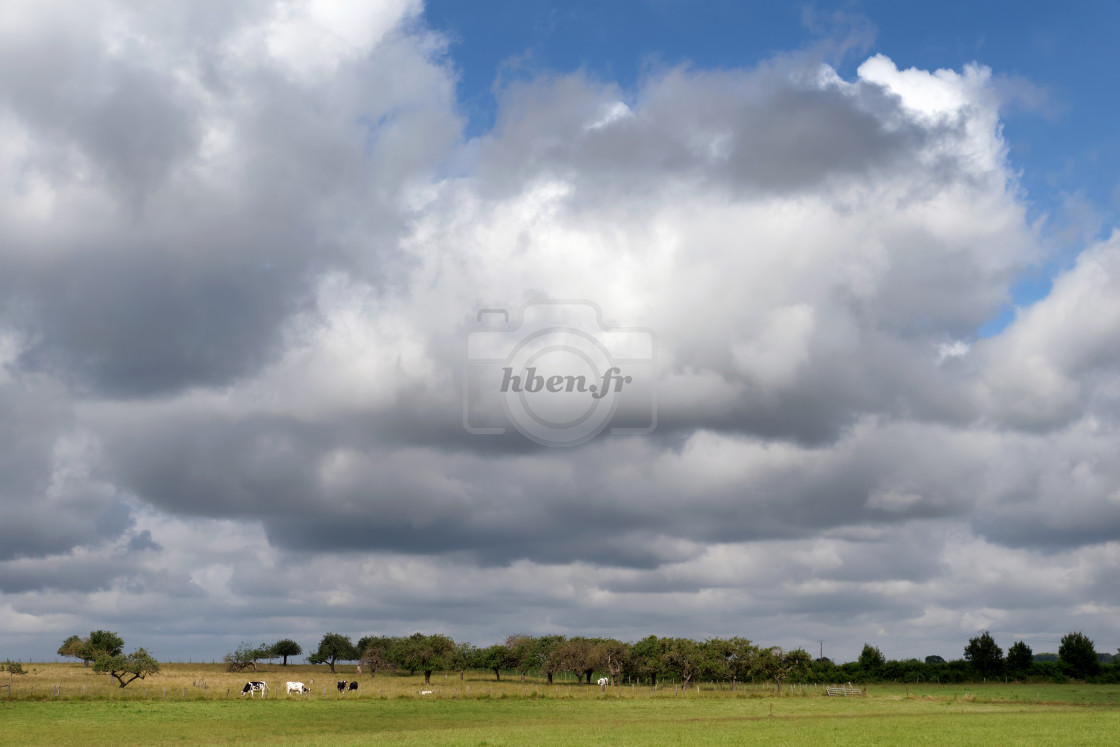 "Cloudy landscape" stock image