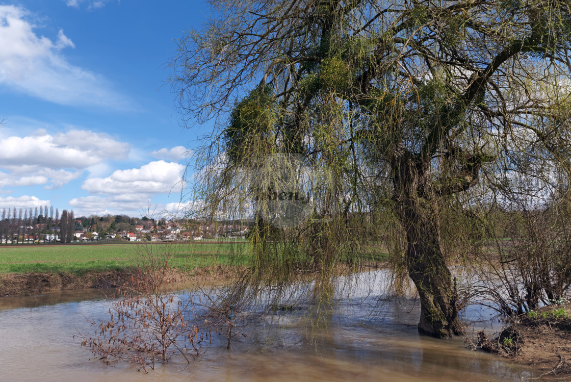 "The Flood" stock image