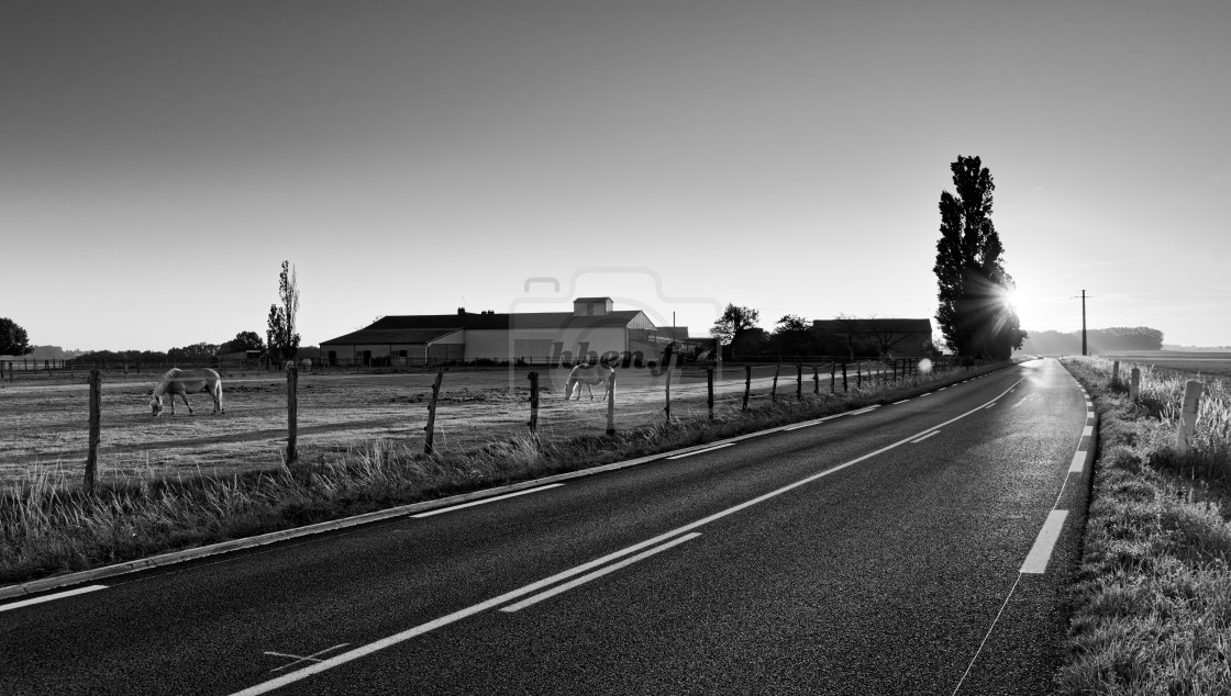 "On the road" stock image