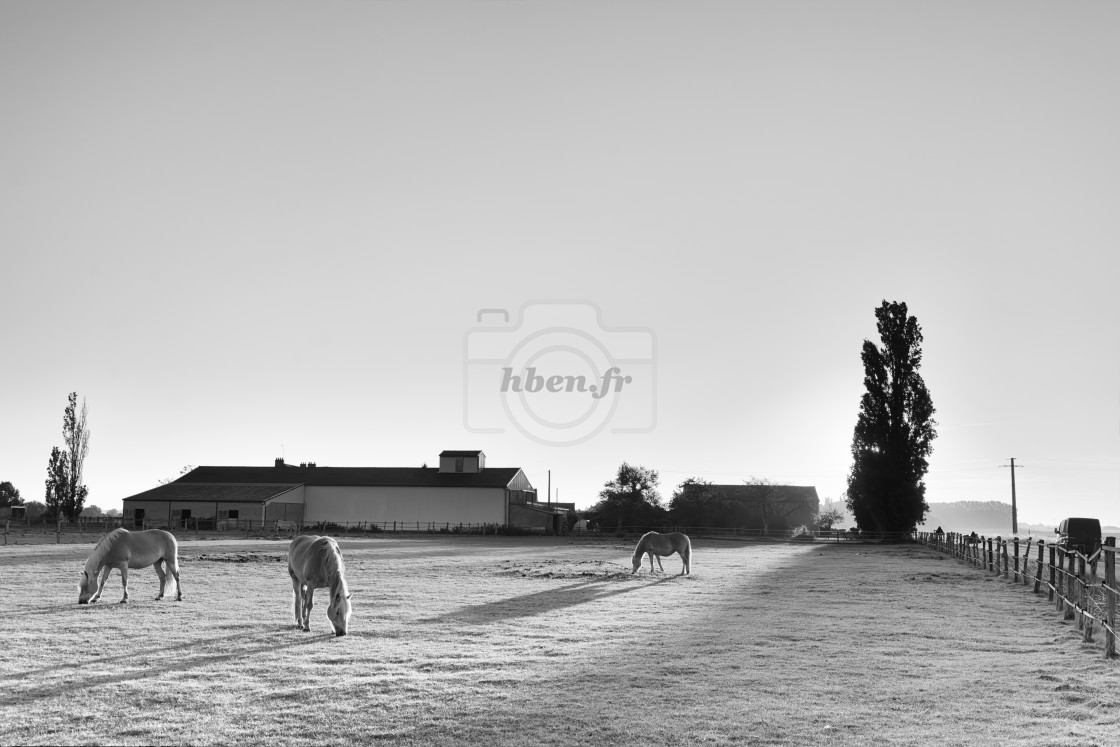 "Farming" stock image