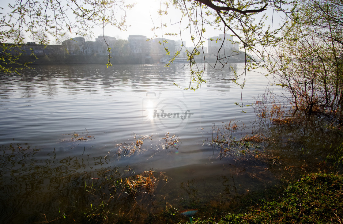 "Frozen morning" stock image