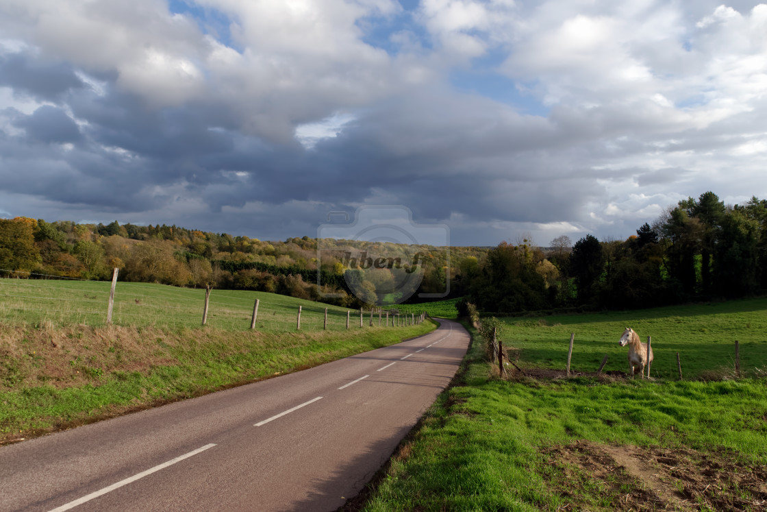 "Country road" stock image